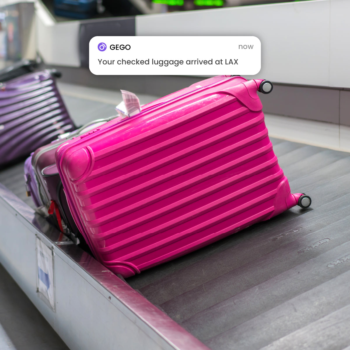 1-Year Membership + FREE GEGO PRO