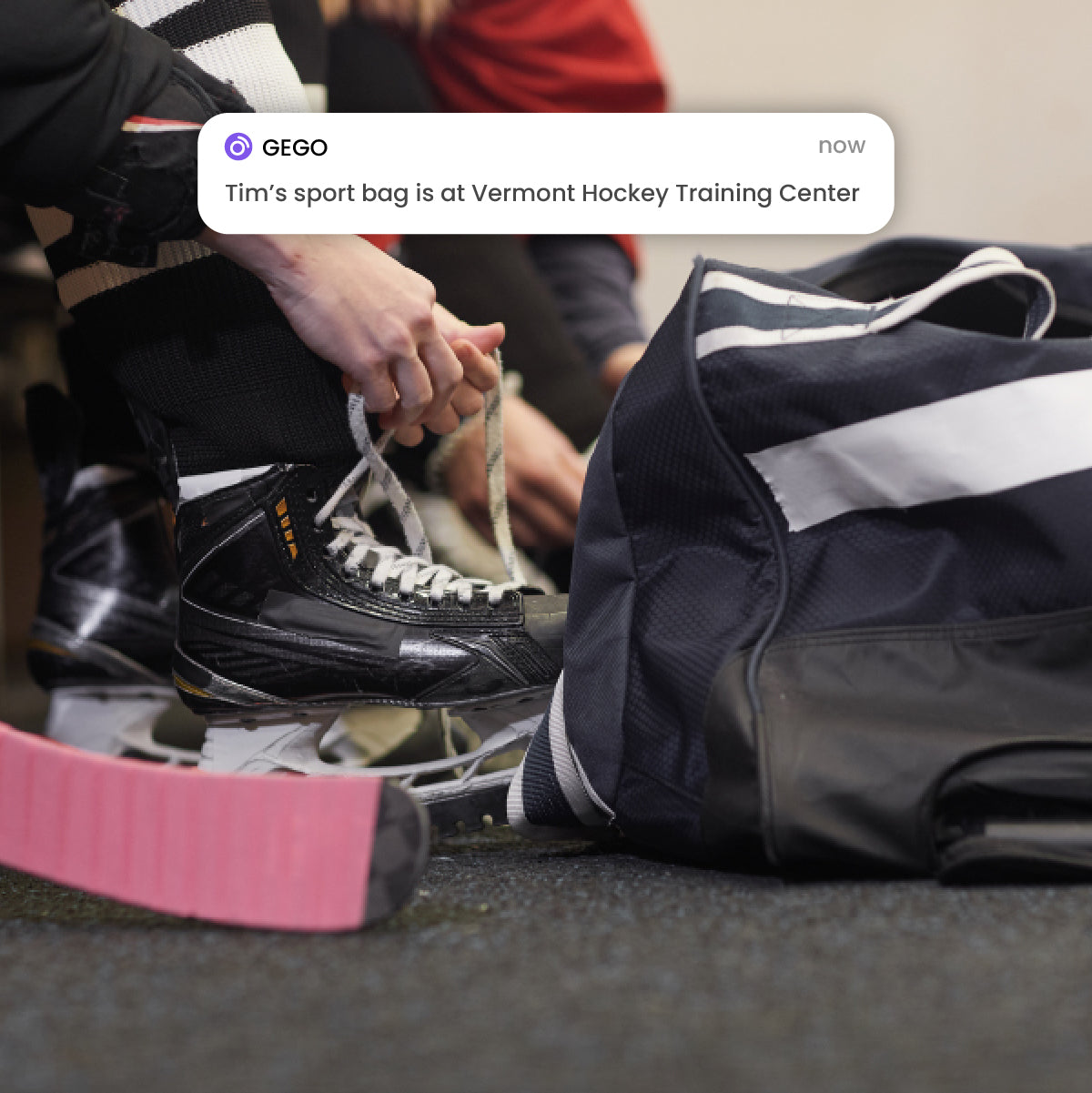 1-Year Membership + FREE GEGO PRO