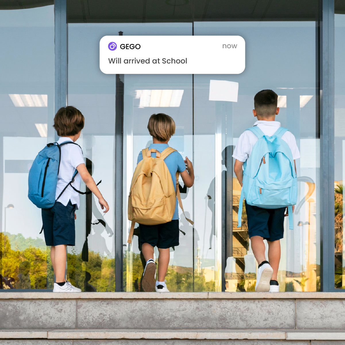 1-Year Membership + FREE GEGO PRO